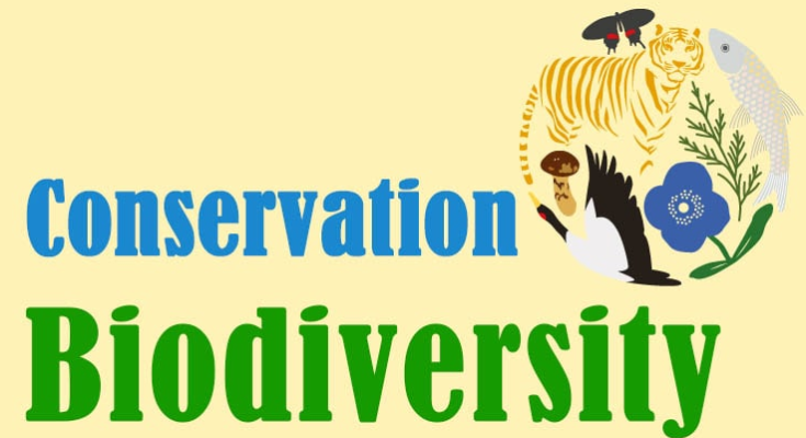 Biodiversity Conservation