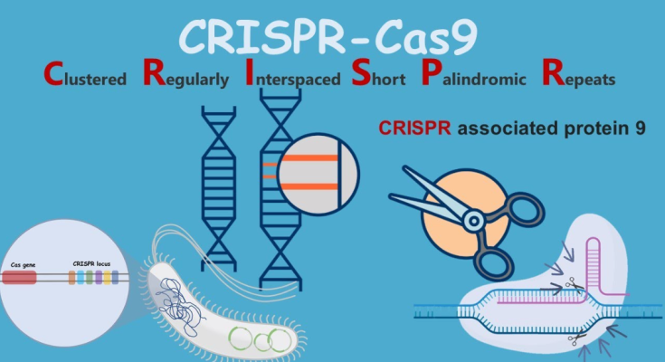 CRISPR